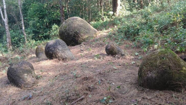 Experts Stumped by Slew of Massive Ancient Stone Jars Unearthed in India