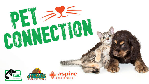 Check Out The Pet Connection! 