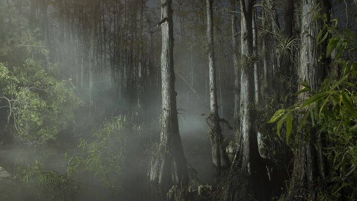 'River Troll' Photographed in Mississippi?