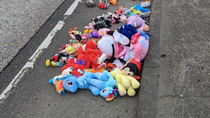 Slew of Stuffed Animals Spill Onto Highway in Oregon