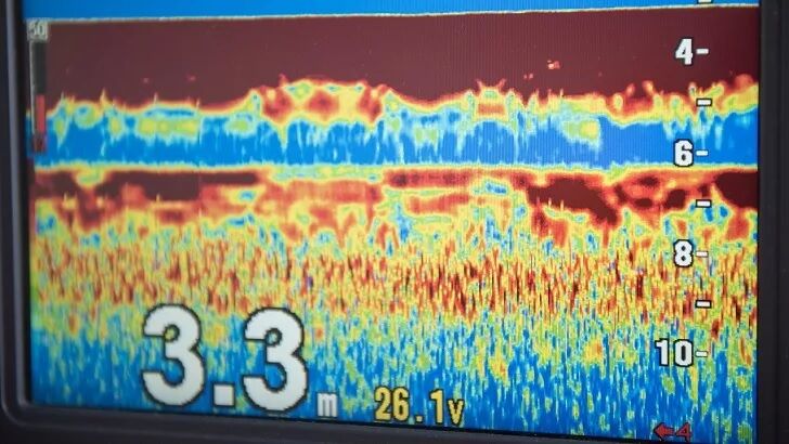 Tourist Spots Loch Ness Monster on Sonar?