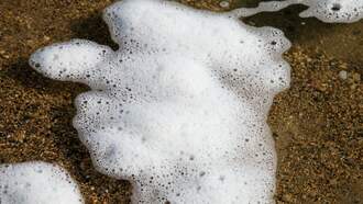 Mysterious White Foam Blanketing Kentucky Creek Finally Identified