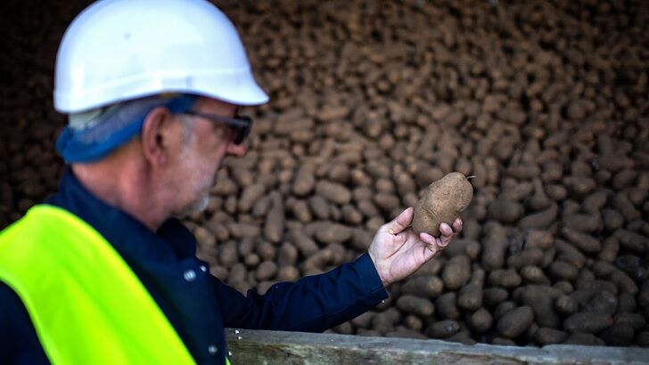 WWII-Era Grenade Found Among Potatoes at French Fry Factory in New Zealand