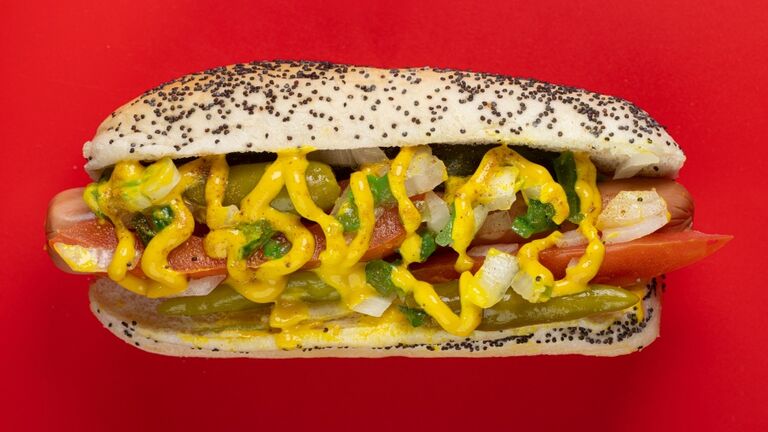 Chicago Style Hot Dog