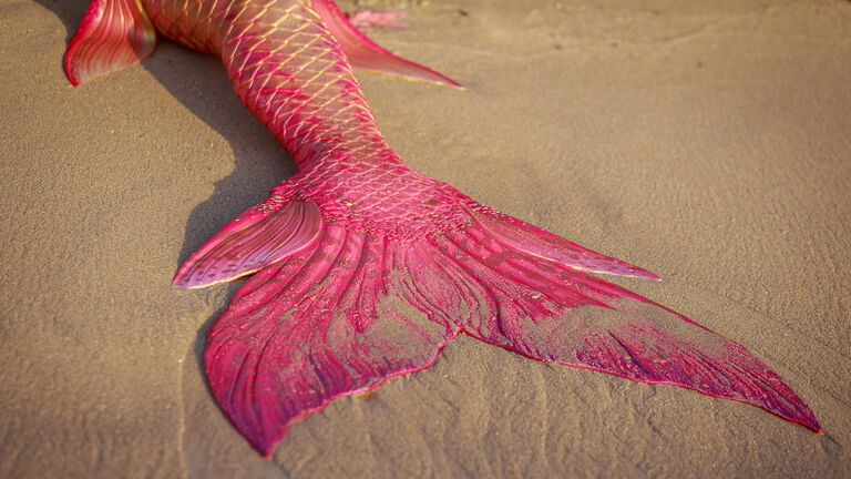 Beautiful pink mermaids tail on the beach. Mettam's Pool, North Beach - Western Australian beach.
