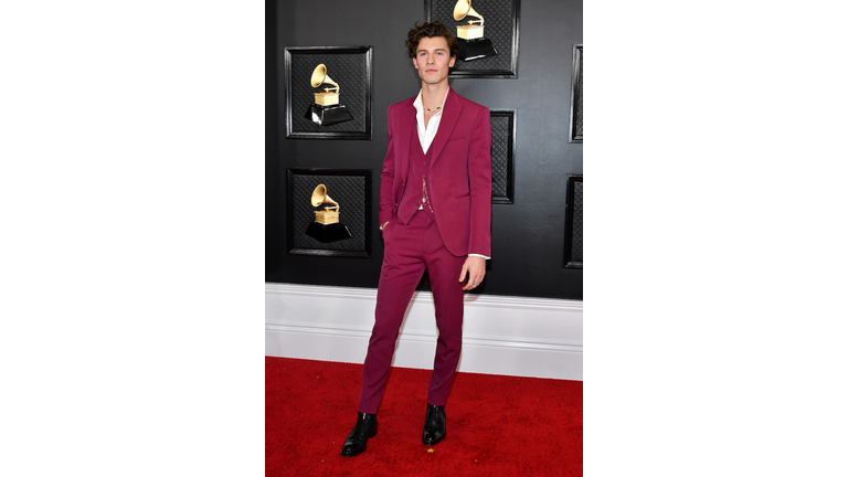 62nd Annual GRAMMY Awards - Arrivals