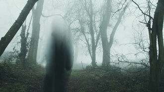 Earthbound Spirits / Open Lines