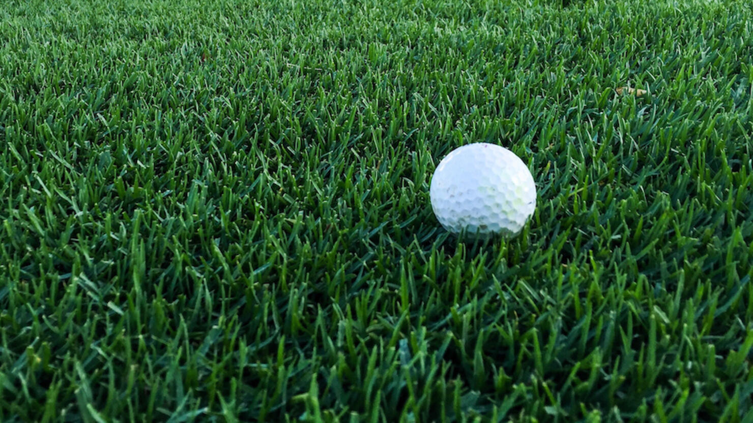 Golf Ball On Grassy Field