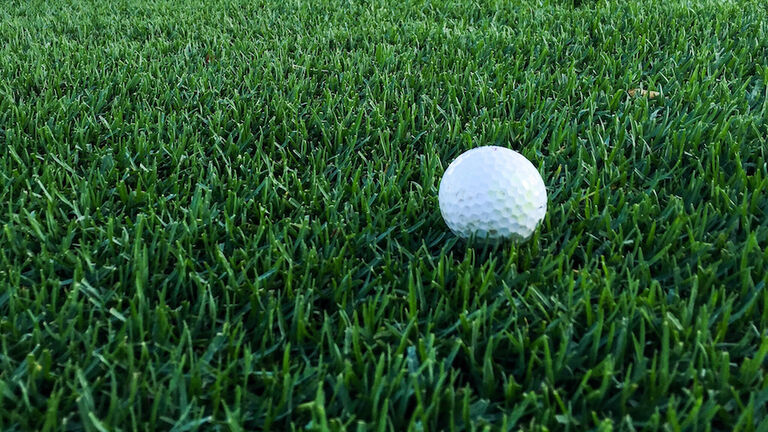 Golf Ball On Grassy Field