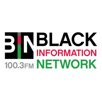 BIN 100.3 logo