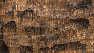 Chronic Pain & Anxiety / Ancient Alien Tales