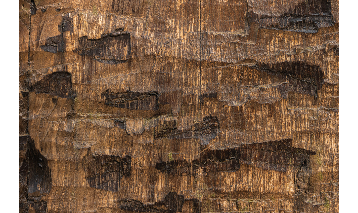 Chronic Pain & Anxiety / Ancient Alien Tales