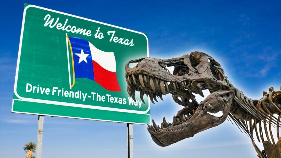 Texas Is One Of The Top States For Dinosaur Fossils | IHeart