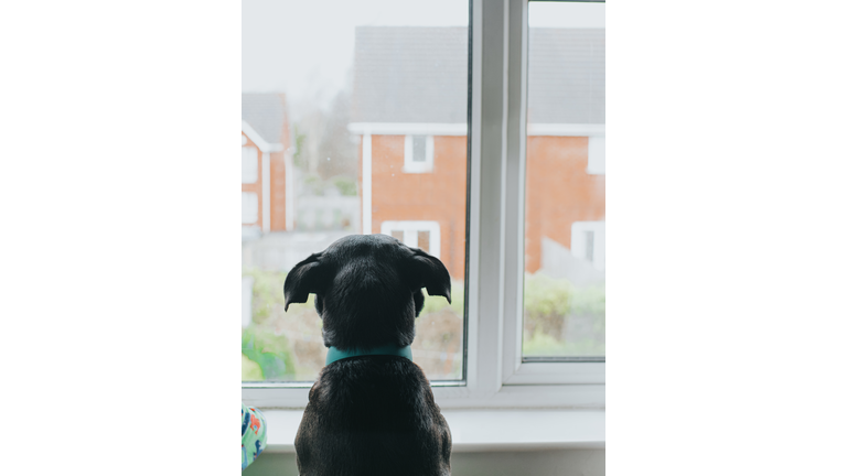 Looking out