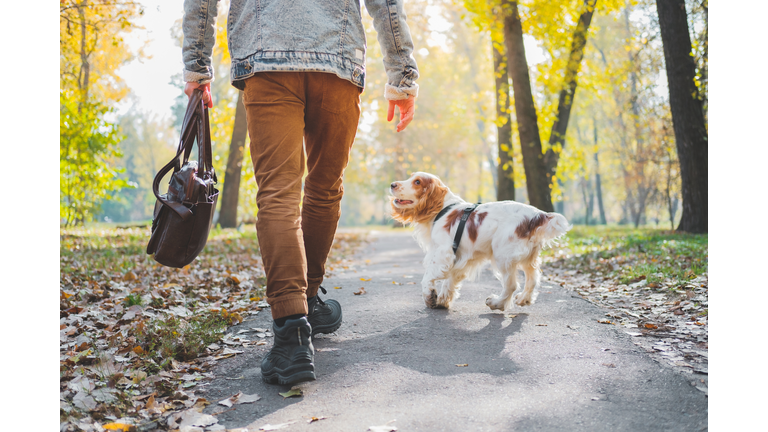 Low Section Of Man With Dog Walking On Road In Park