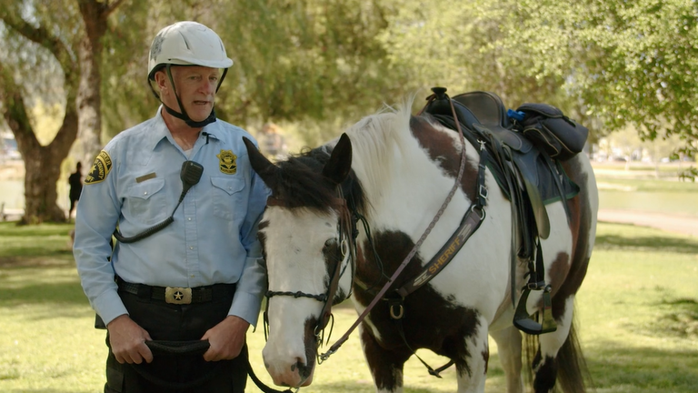 Sheriff Mounted Unit 1