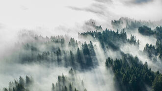 Paranormal Property / Open Lines