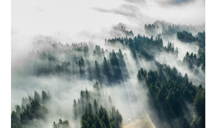 Paranormal Property / Open Lines