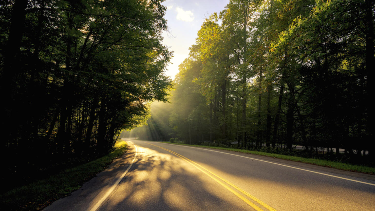 USA, Virginia, empty Blue Ridge Parkway at morning sunlight