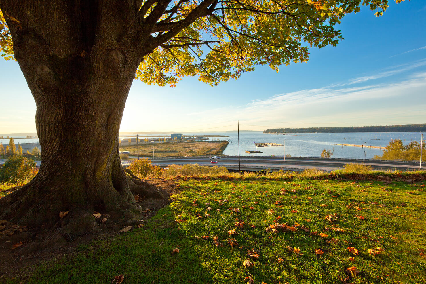 Water view in Everett, Washington, over the West Marine View Drive
