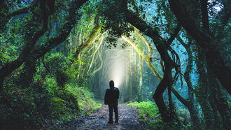 Mafia & Government / Spiritual Practices & the Paranormal