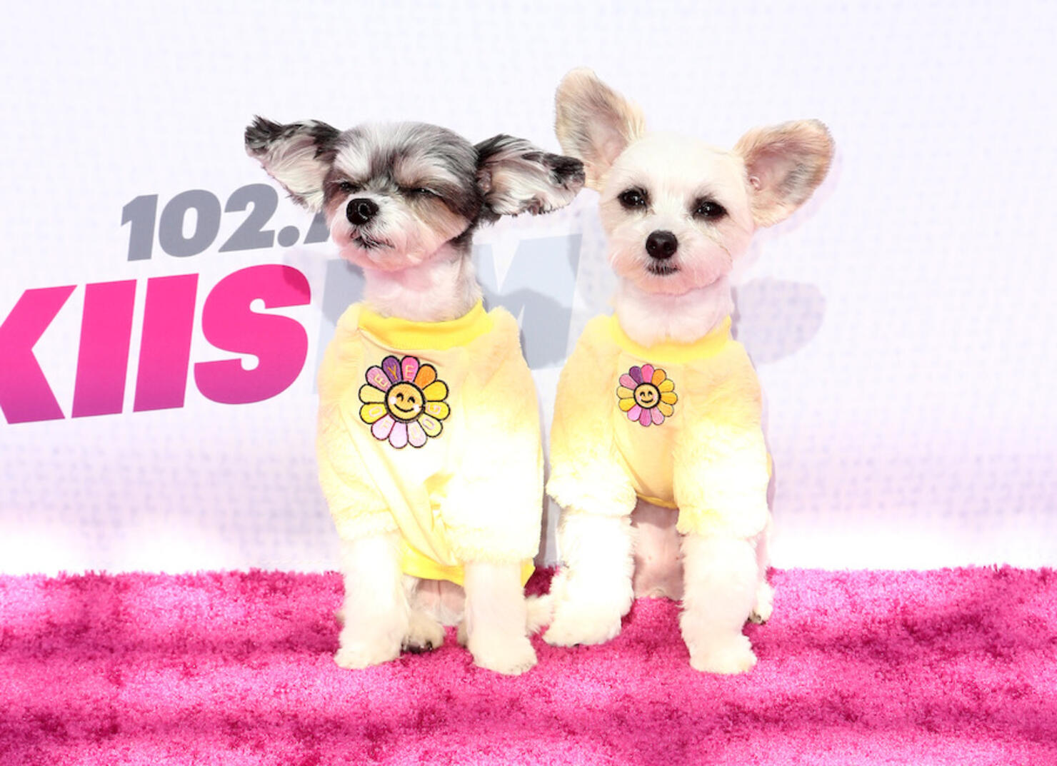 2022 iHeartRadio Wango Tango - Red Carpet