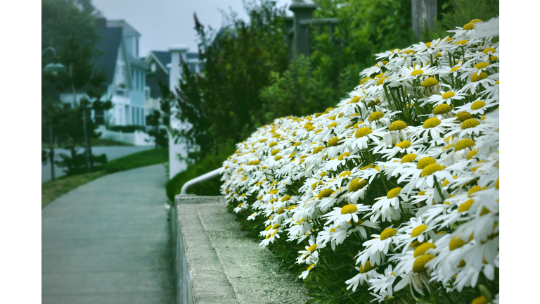 Beach Resort Community Seabrook Washington USA.