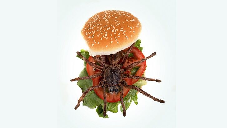 North Carolina Restaurant Serving Tarantula-Topped Burgers