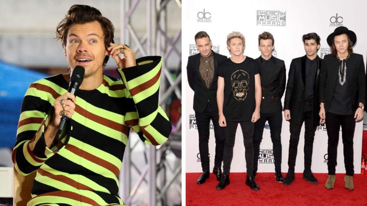 One Direction reunion: Harry Styles' 'secret' meeting with Louis excites  fans, Music, Entertainment