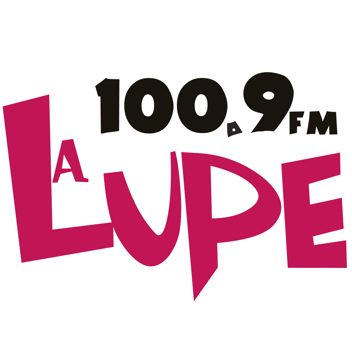 La Lupe (Xalapa) - 100.9 FM - XHPALV-FM - Multimedios Radio - Xalapa, Veracruz