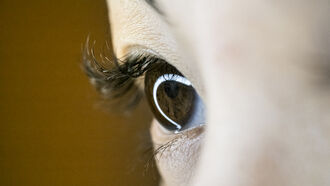 AI & Sentient Machines / Dealing with Demons