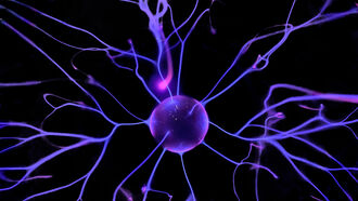 Strengthening the Grid  / Neuroscience of Spirituality