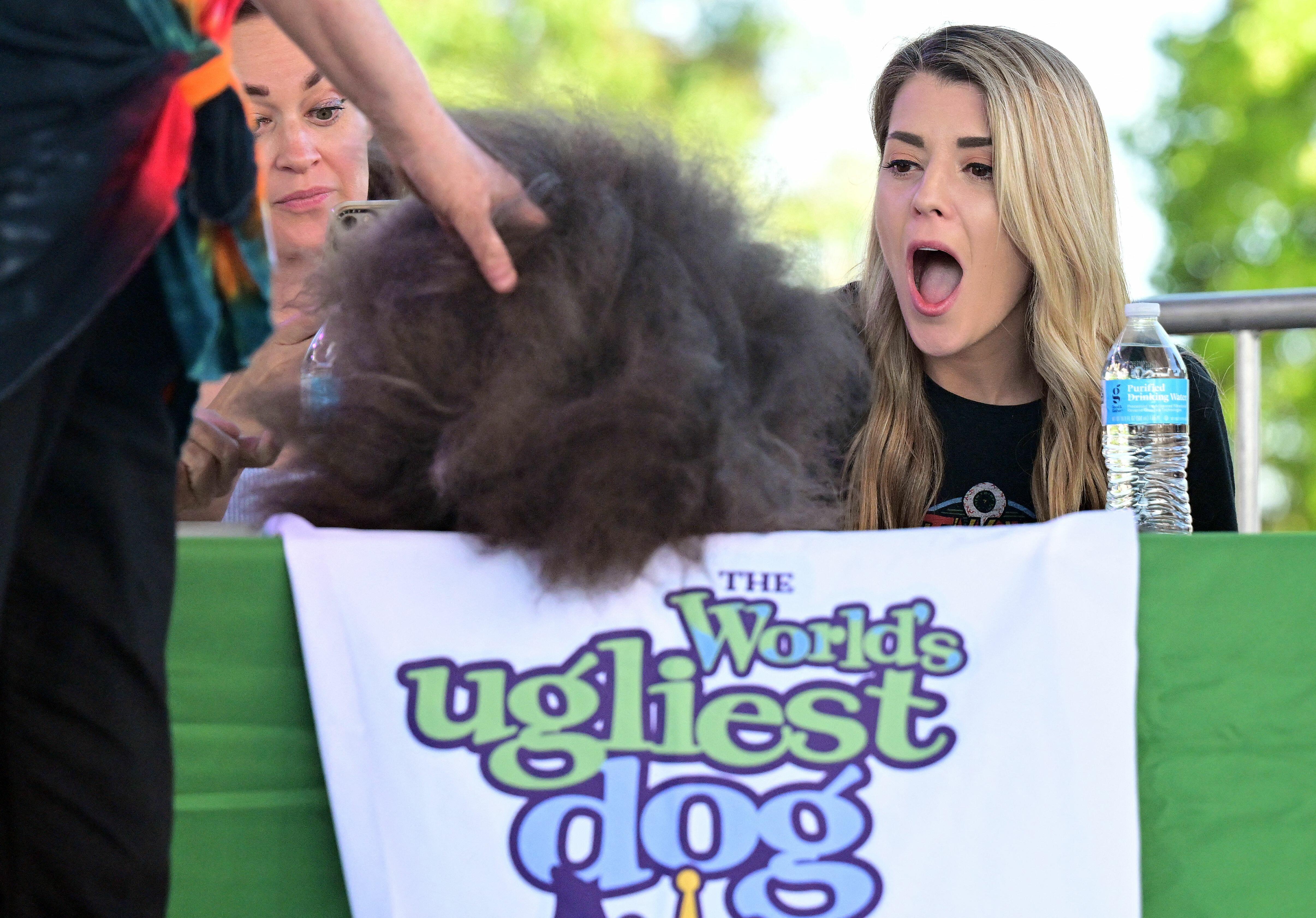 Mr Happy Face Wins The Worlds Ugliest Dog Competition Iheart