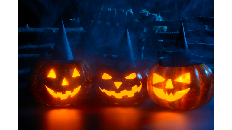 Terrifying pumpkins in composition in dark