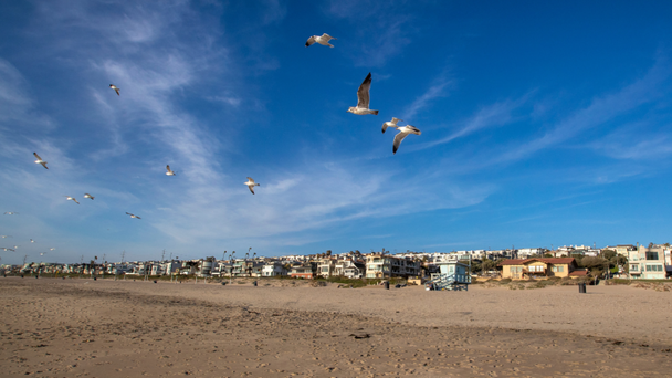 LA County Votes To Return Beachfront Property To Black Family