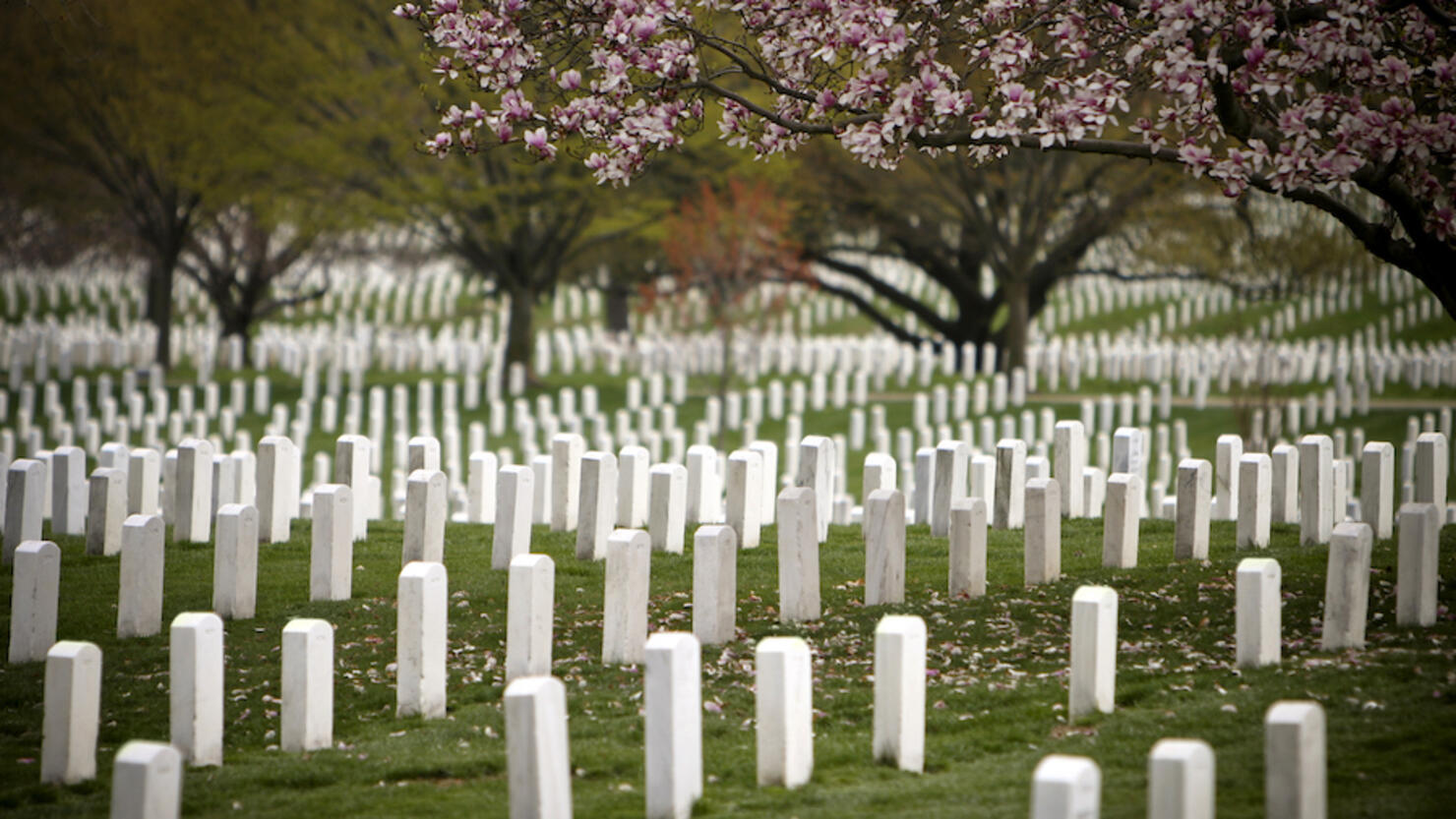 arlington national cemetery