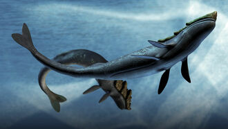 Watergate Mysteries / Real Sea Monsters