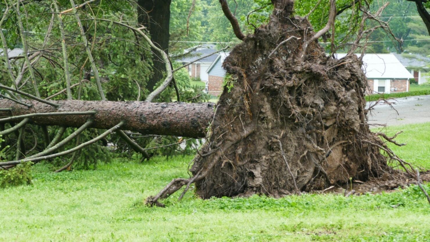 Severe Storms Bring Widespread Damage To The Phoenix Area | iHeart