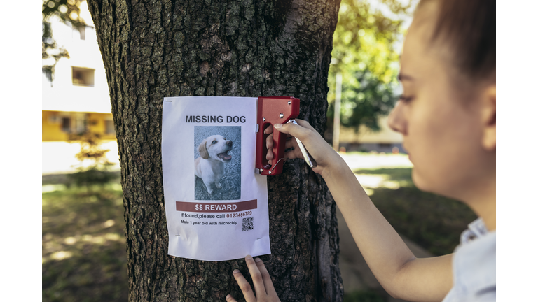 Girl pasting posters of the missing dog