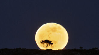 Pre-Supermoon Open Lines