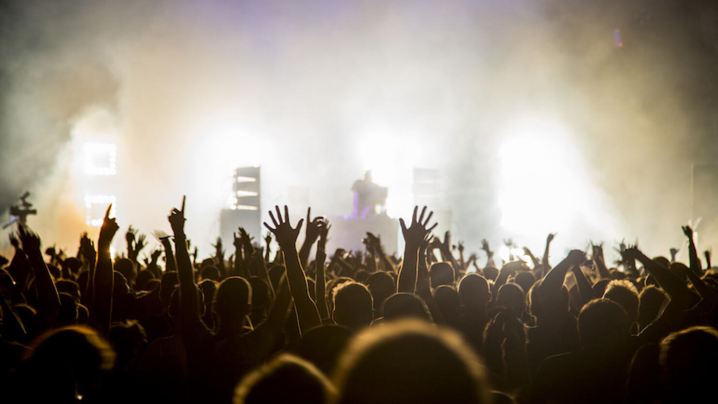 Fans with raised arms at music Festival
