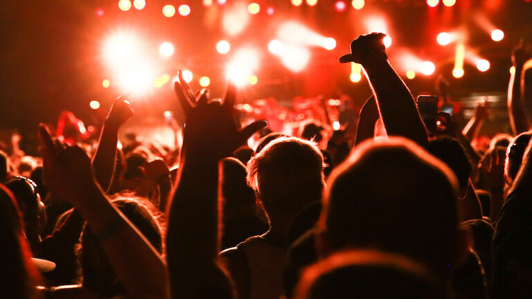 Concert Audience, Rear view Concert Crowd, Music Festival