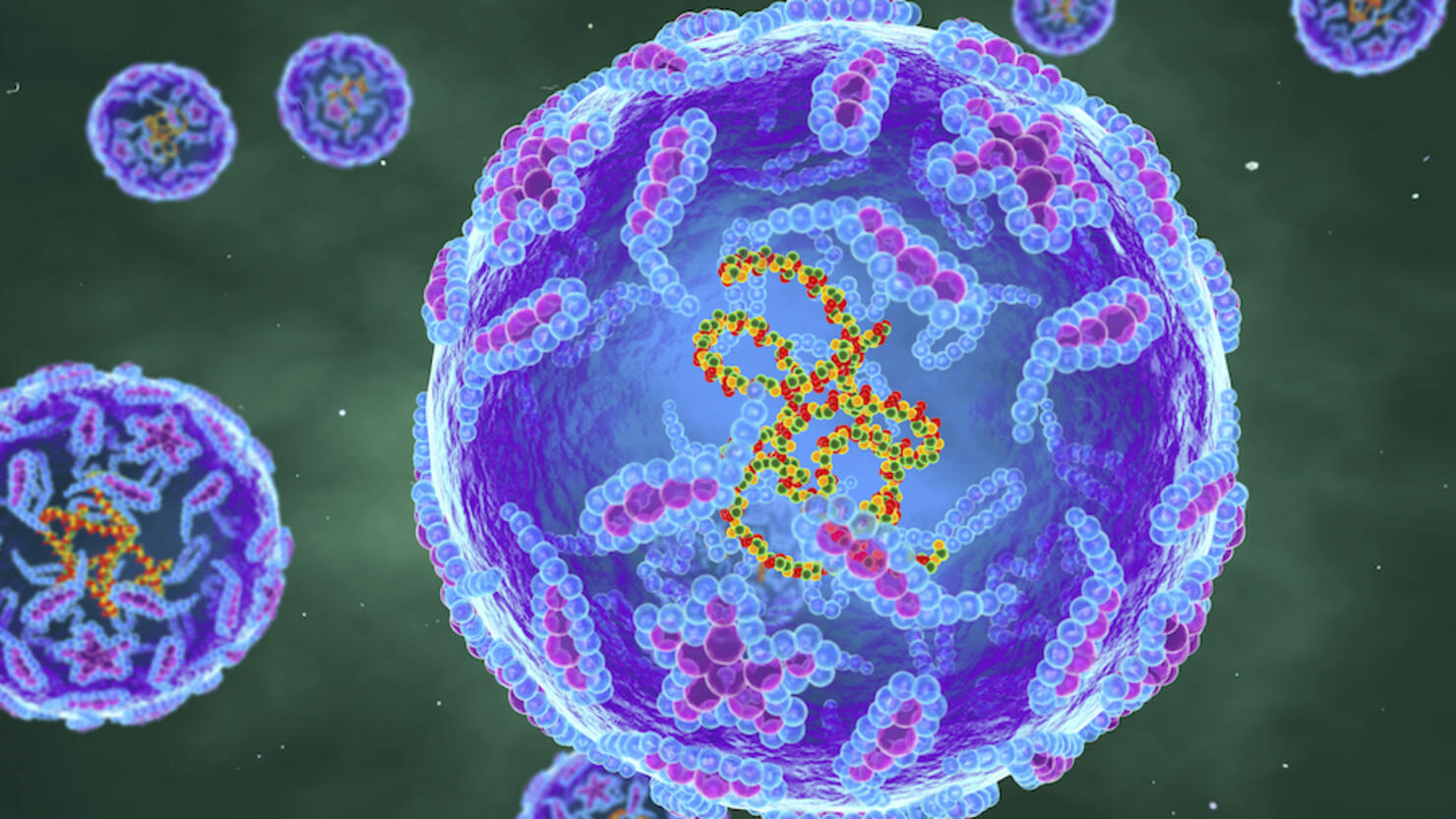 Polio viruses, illustration