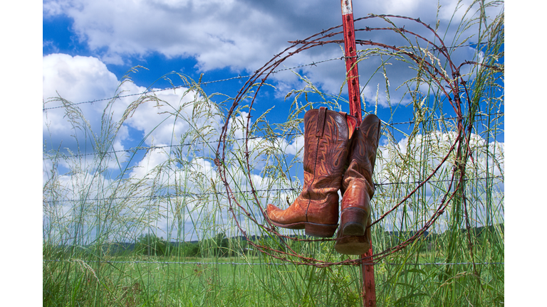 Barbed wire hot sale cowboy boots