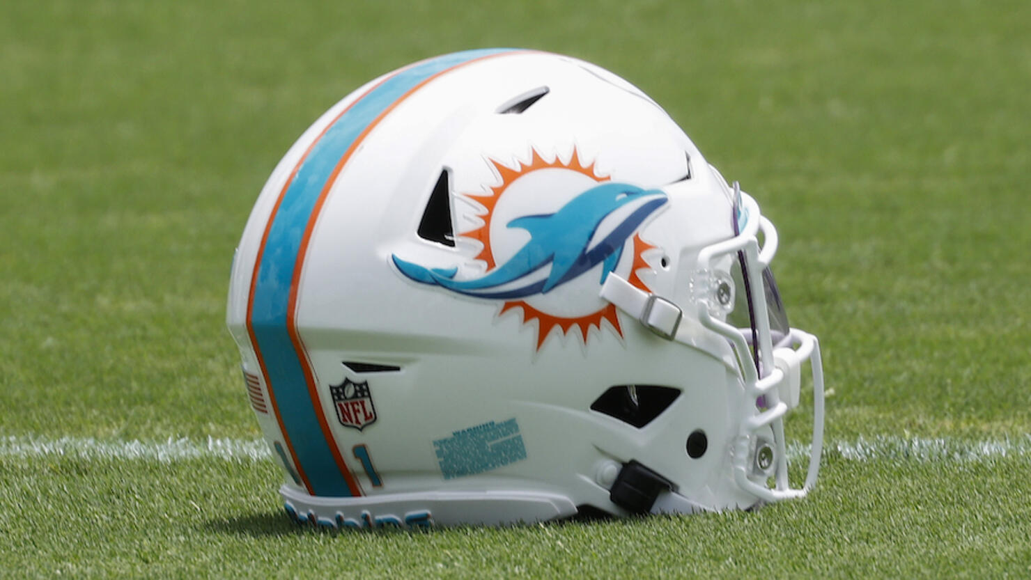 Miami Dolphins Offseason Workout