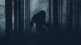 Watch: Hunter Films Bigfoot Walking in Forest?