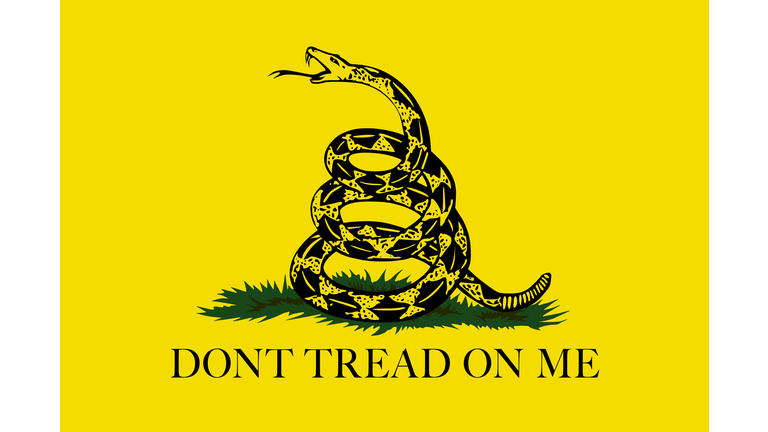 Gadsden Don’t Tread On Me Flag, Authentic version