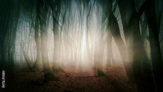 Strange Disappearances / If JFK Lived