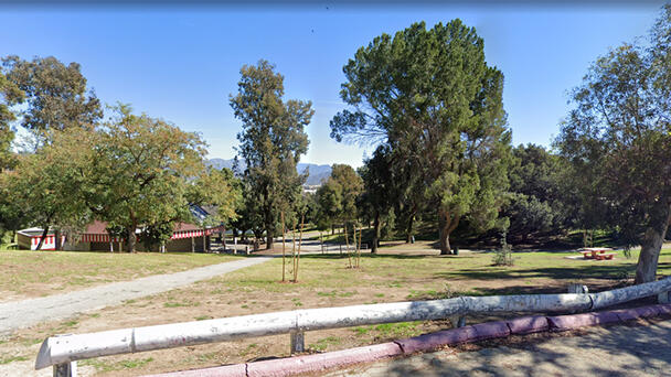 Burning Body Found Hanging From Tree In Los Angeles Park