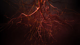 Particle Physics & Astronomy / Demonic Attacks